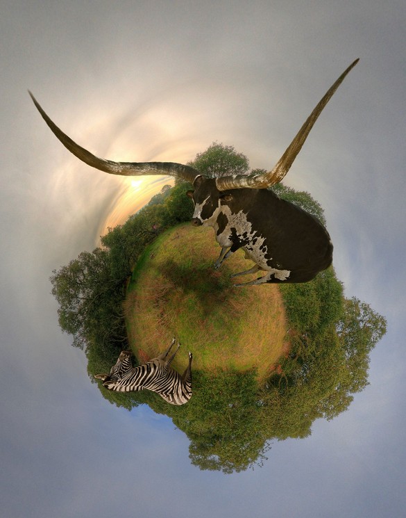 little planet panorama14 in Little Planet Panoramic Photography