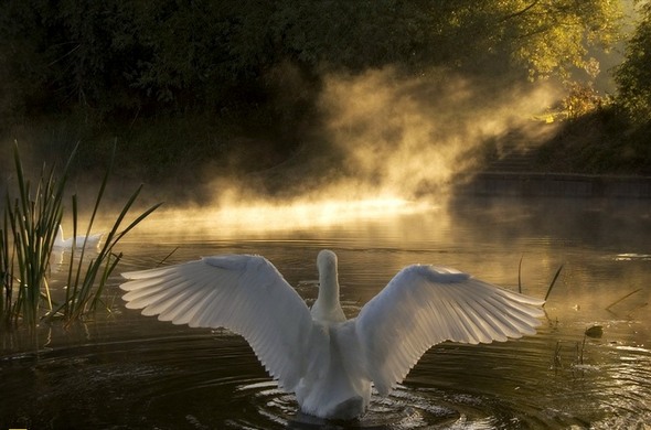 National Geographic Magical Moment Photo