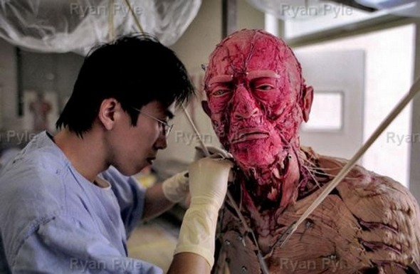 Body Worlds Plastination Center in Dalian China Body Worlds Plastination Center in Dalian China