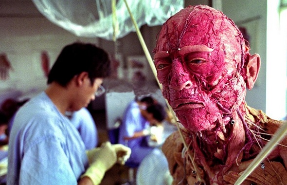 Body Worlds Plastination Center in Dalian China