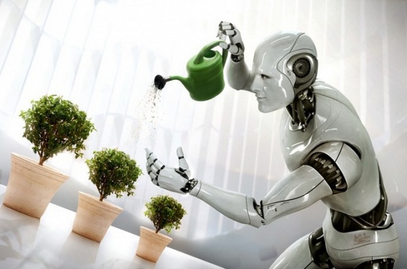 Human Robots Future