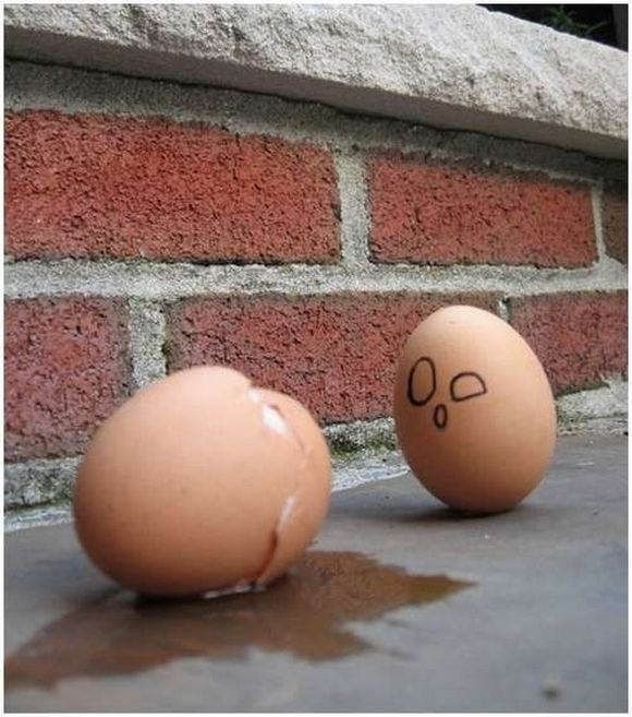 Funniest food creation photo