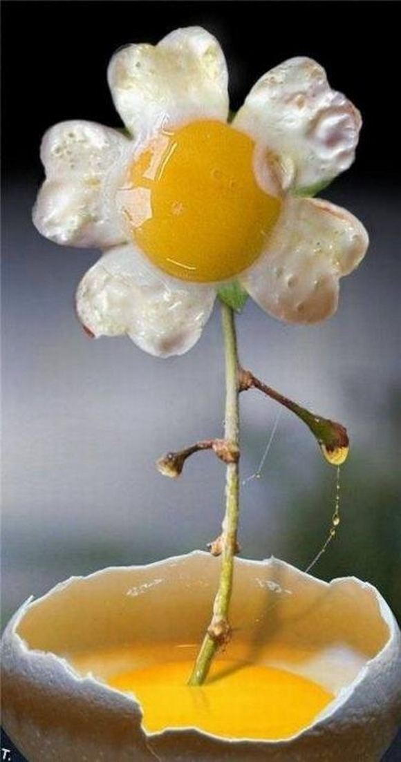 Funniest food creation photo