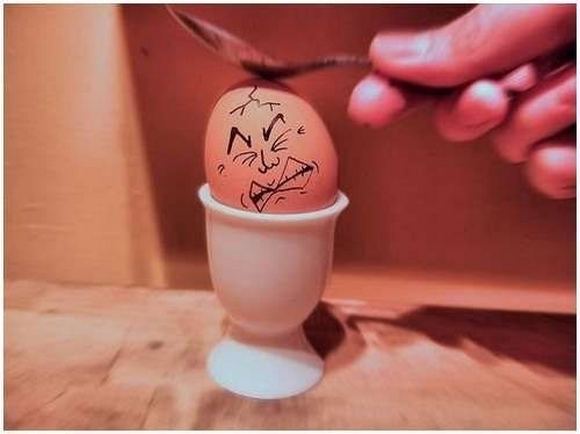 Funniest food creation photo