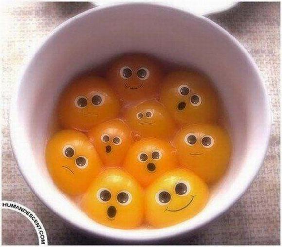 fun creations using food 65 in Top 100 Funniest Food Creations made using Fruits, Vegetables, Eggs