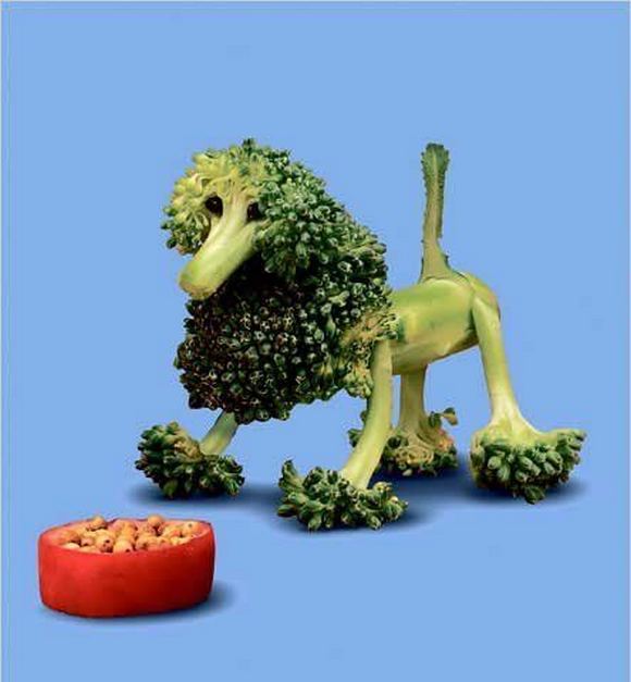 fun creations using food 76 in Top 100 Funniest Food Creations made using Fruits, Vegetables, Eggs
