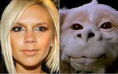 Celebrities Looking 
Like Strange Creatures