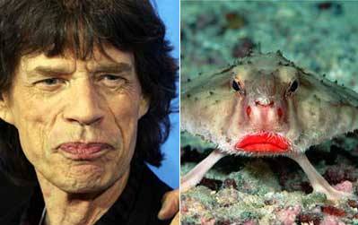 Celebrities Looking Like Strange  Creatures