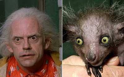 celebrities looking like strange creatures17 in Celebrities  Looking Like Strange Creatures