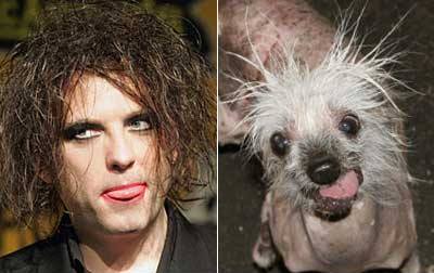 celebrities looking like strange creatures24 in Celebrities  Looking Like Strange Creatures