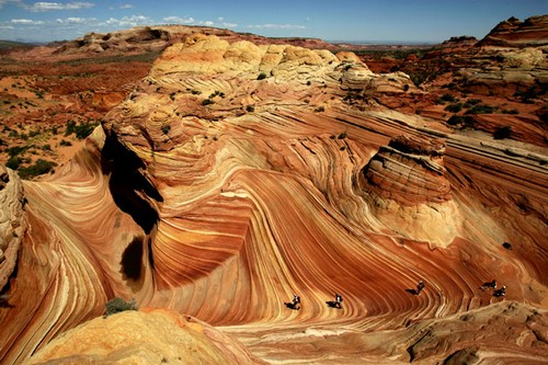 the wave11 in The Wave   The Dune of Arizona