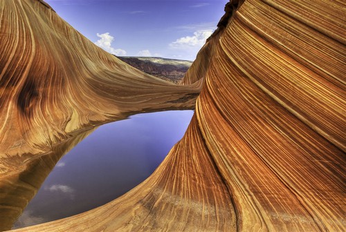 the wave14 in The Wave   The Dune of Arizona