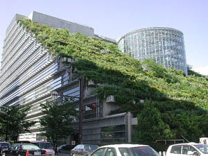 green building2 in Green Development