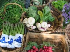 vegetables in Organic gardening