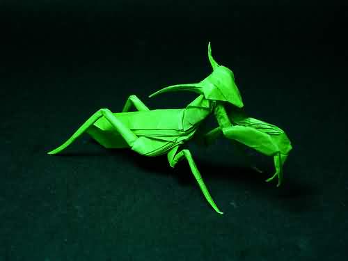 origami04 in The Incredible Art of Origami