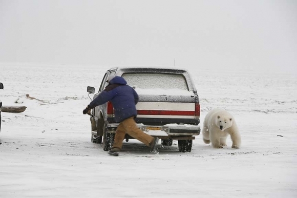 When animals attack: Beware of nature