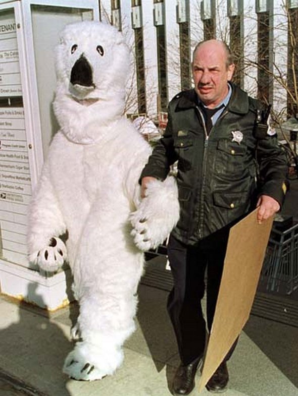 Funniest costumes to get caught in Funniest costumes to get caught in