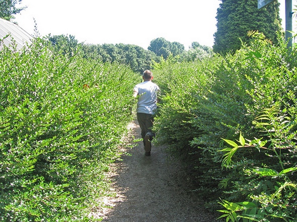 running away from camera 59 in Running away from Camera Photography
