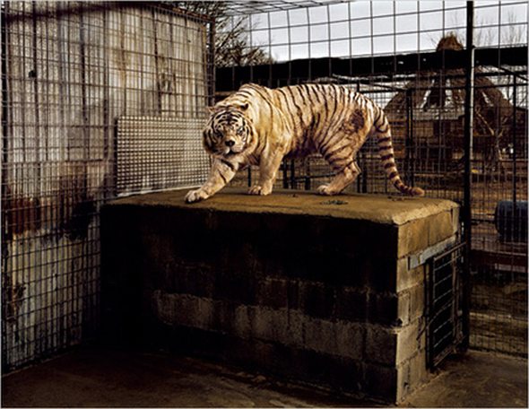 Unbelievable and Amazing Non Photoshopped Photos