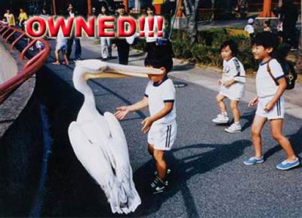 Funniest fails ever photographed