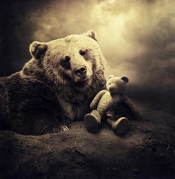 artistic surreal photomanipulation by sarolta ban 09 in Amazing Surreal Photo manipulation by Sarolta Ban