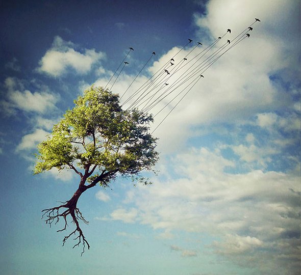 Artistic Surreal Photomanipulations