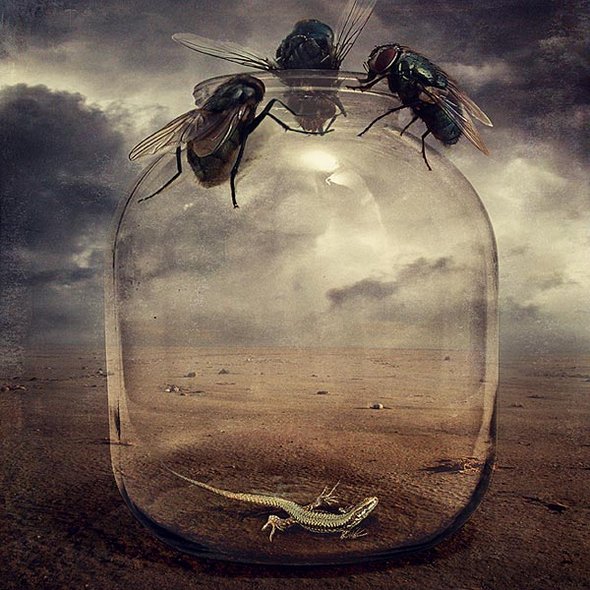 artistic surreal photomanipulation by sarolta ban 22 in Amazing Surreal Photo manipulation by Sarolta Ban