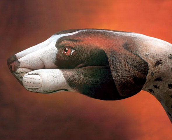 Amazing Example of Creative Animal Hand Painting