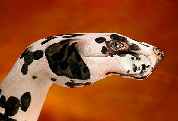 21 animal hand paintings 08 in Hand Painting: 21 Unbelievably Vivid and Creative Animal Paintings