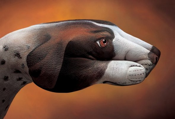 Amazing Example of Creative Animal Hand Painting