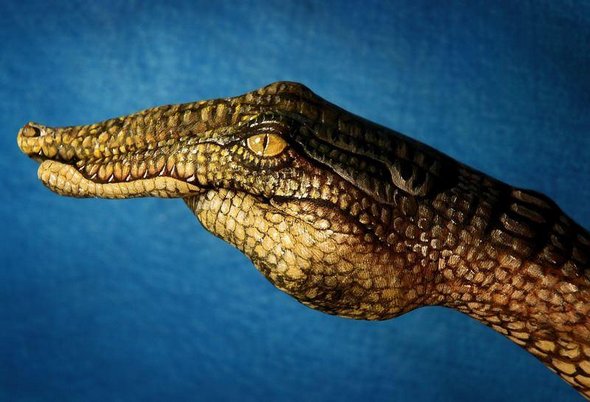 Amazing Example of Creative Animal Hand Painting