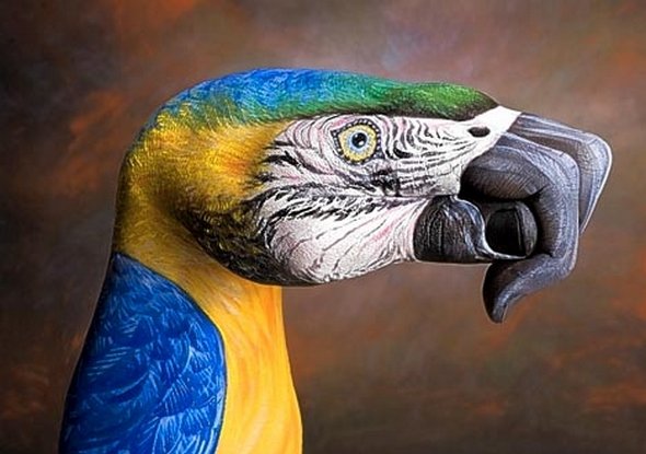 Amazing Example of Creative Animal Hand Painting