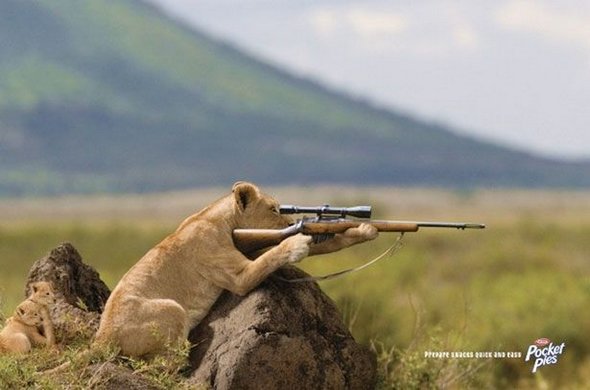 Creative and Funny Ads