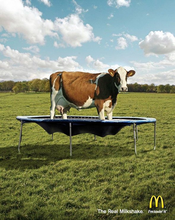 Creative and Funny Ads