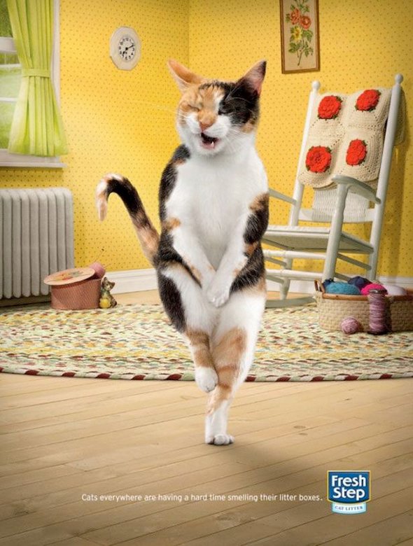 Creative and Funny Ads