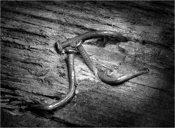 life of a nail 18 in Creative Photography: Typical Life of a Nail by Vlad Artazov