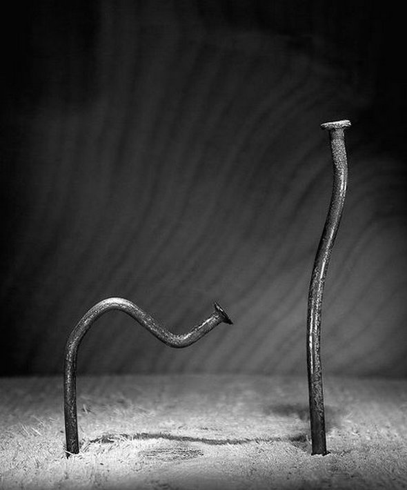 life of a nail 19 in Creative Photography: Typical Life of a Nail by Vlad Artazov