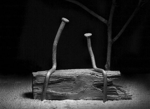 life of a nail 20 in Creative Photography: Typical Life of a Nail by Vlad Artazov