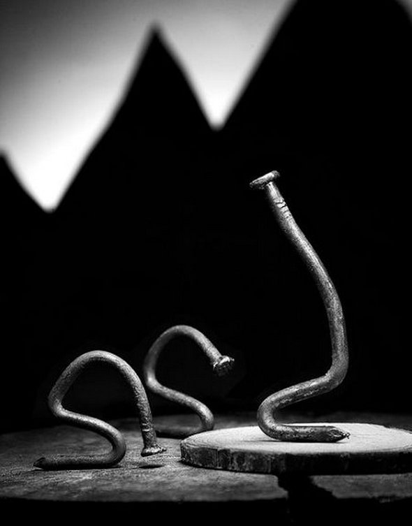 life of a nail 28 in Creative Photography: Typical Life of a Nail by Vlad Artazov