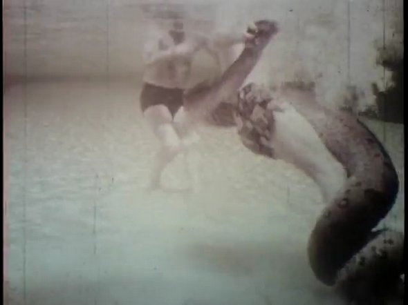 wrestling 20 foot anaconda in water 14 in Wrestling a 20 foot Anaconda under Water