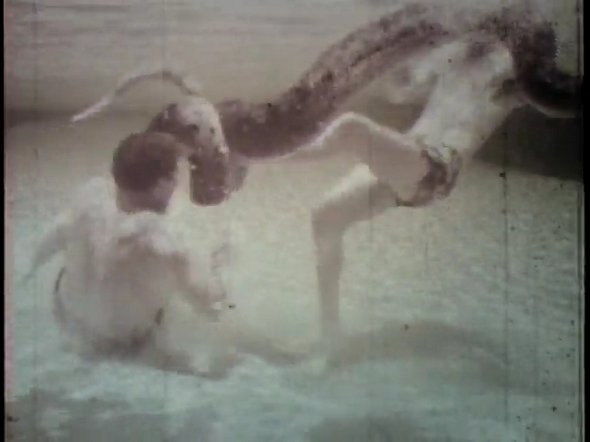Wrestling a 20-foot Anaconda in Swimming Pool