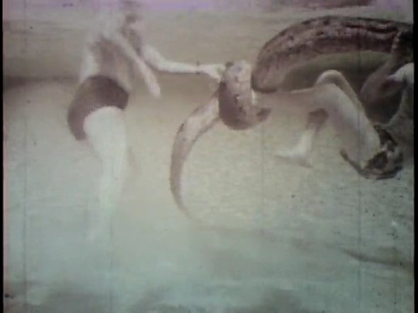 Wrestling a 20-foot Anaconda in Swimming Pool