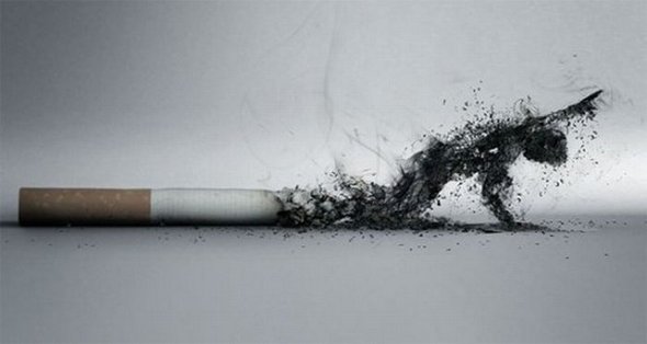 The Best and Most Creative Anti-Tobacco Ads