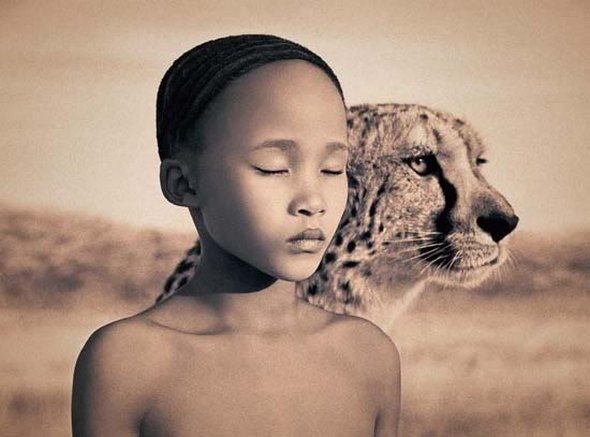 Touching Photographs of Animal-Human Bonds: Ashes and Snow