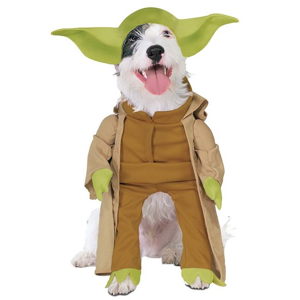 Crazy Halloween Dog Costume Ideas