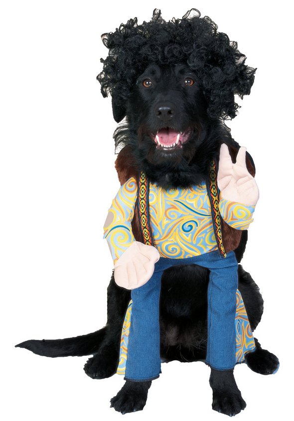 crazy dog costume ideas 12 in Crazy Halloween Dog Costume Ideas