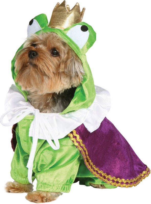 Crazy Halloween Dog Costume Ideas