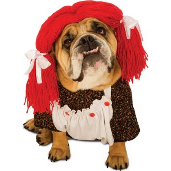 Crazy Halloween Dog Costume Ideas