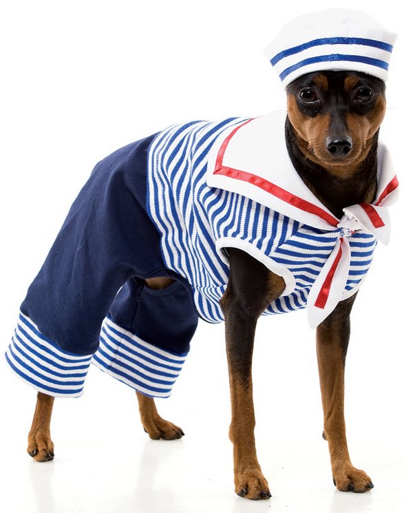 crazy dog costume ideas 18 in Crazy Halloween Dog Costume Ideas