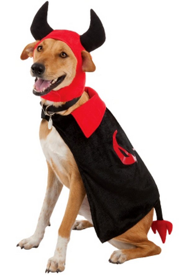 crazy dog costume ideas 21 in Crazy Halloween Dog Costume Ideas